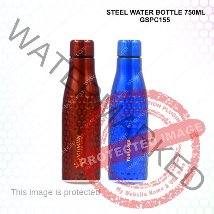 Steel Bottle